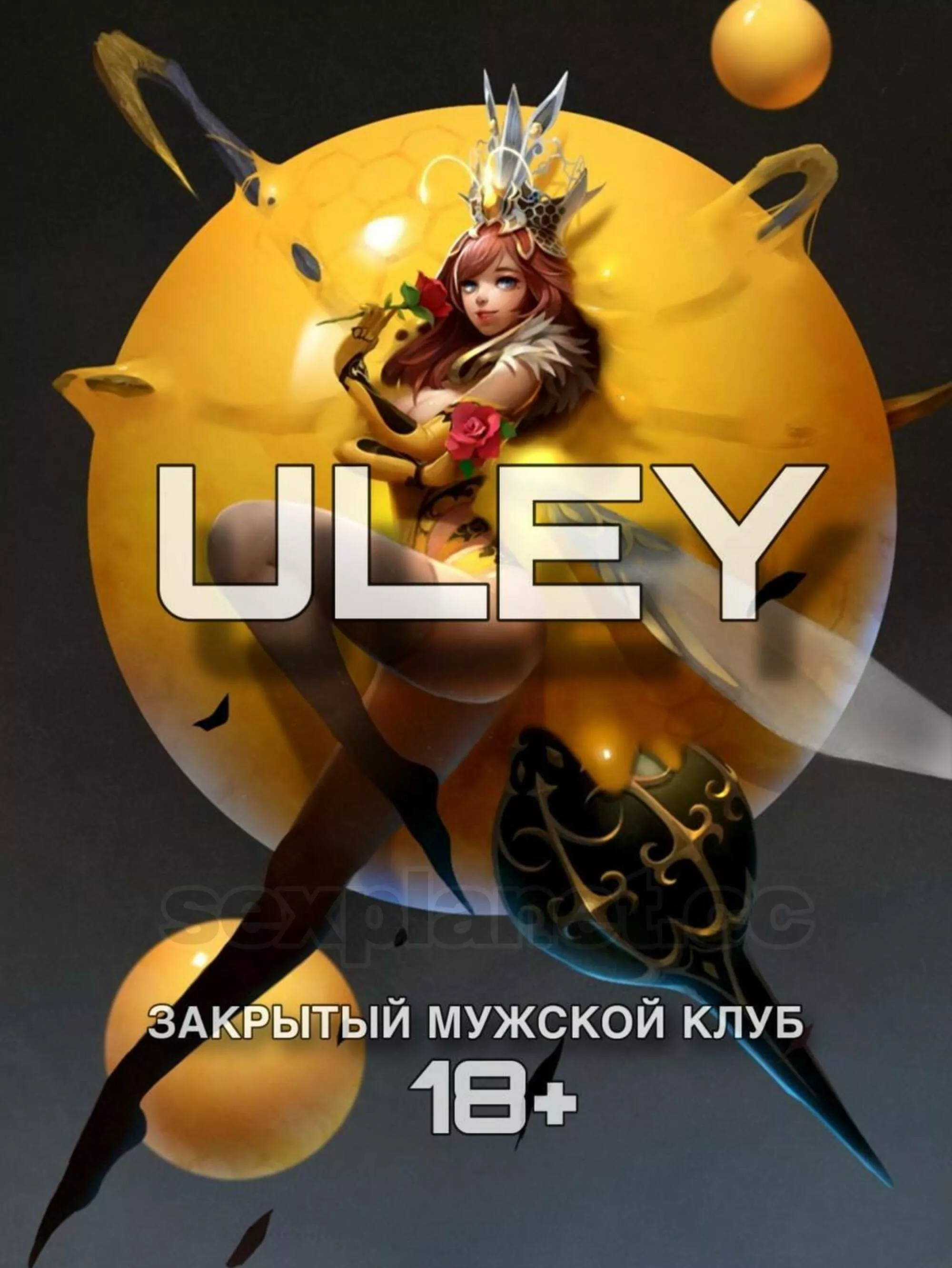 Бордель U L E Y в г. Тюмень.  