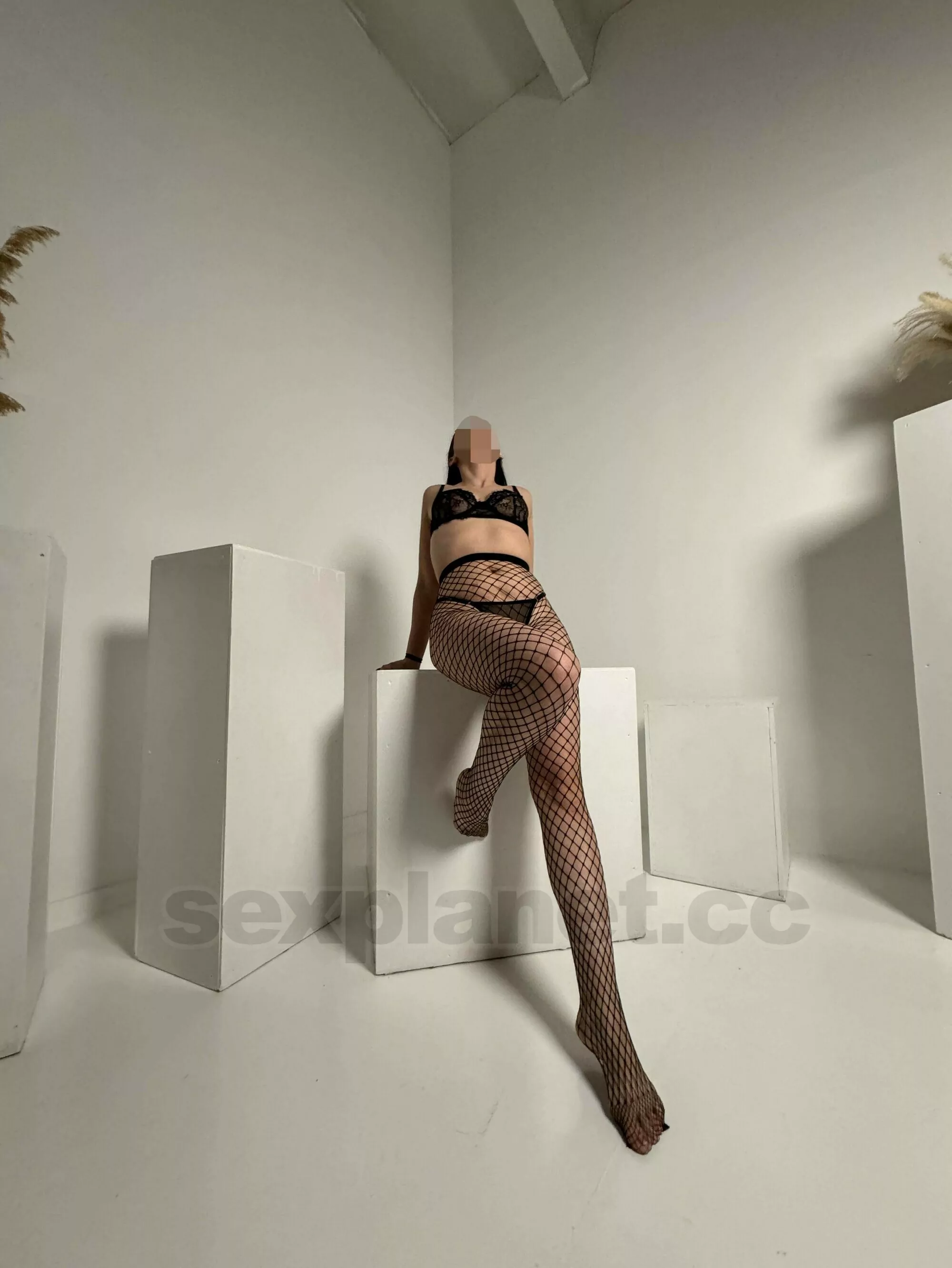 💁‍♀️ С ночной бабочкой Эллой сделай всё что хочешь. Ищешь встречу с такой девушкой для интима? ➨ Ты в нужном месте. 💁‍♀️