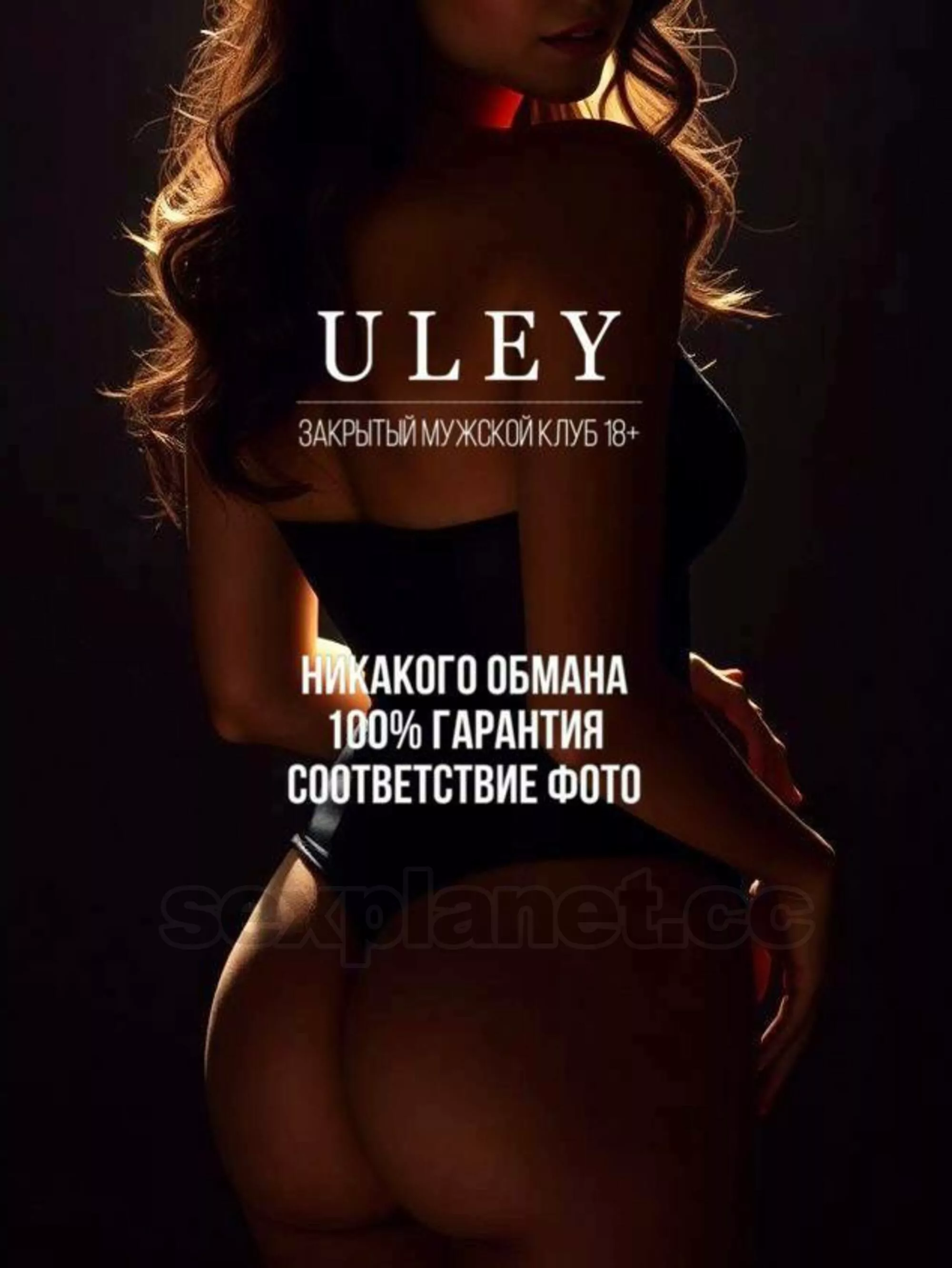 Бордель U L E Y в г. Тюмень.  